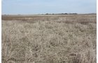 Property photo 8 - 194.67 Acres Offered in 2 Tracts